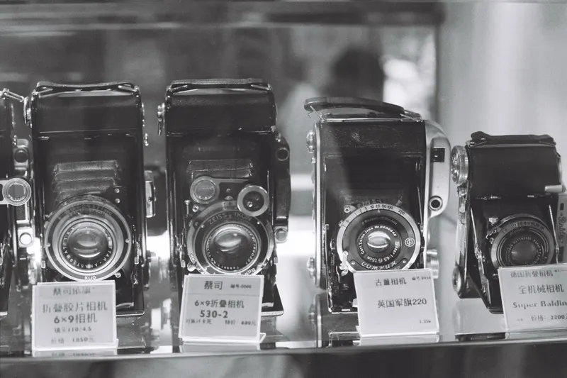 Old folding and twin-lens cameras lined up in a display case, in black and white.